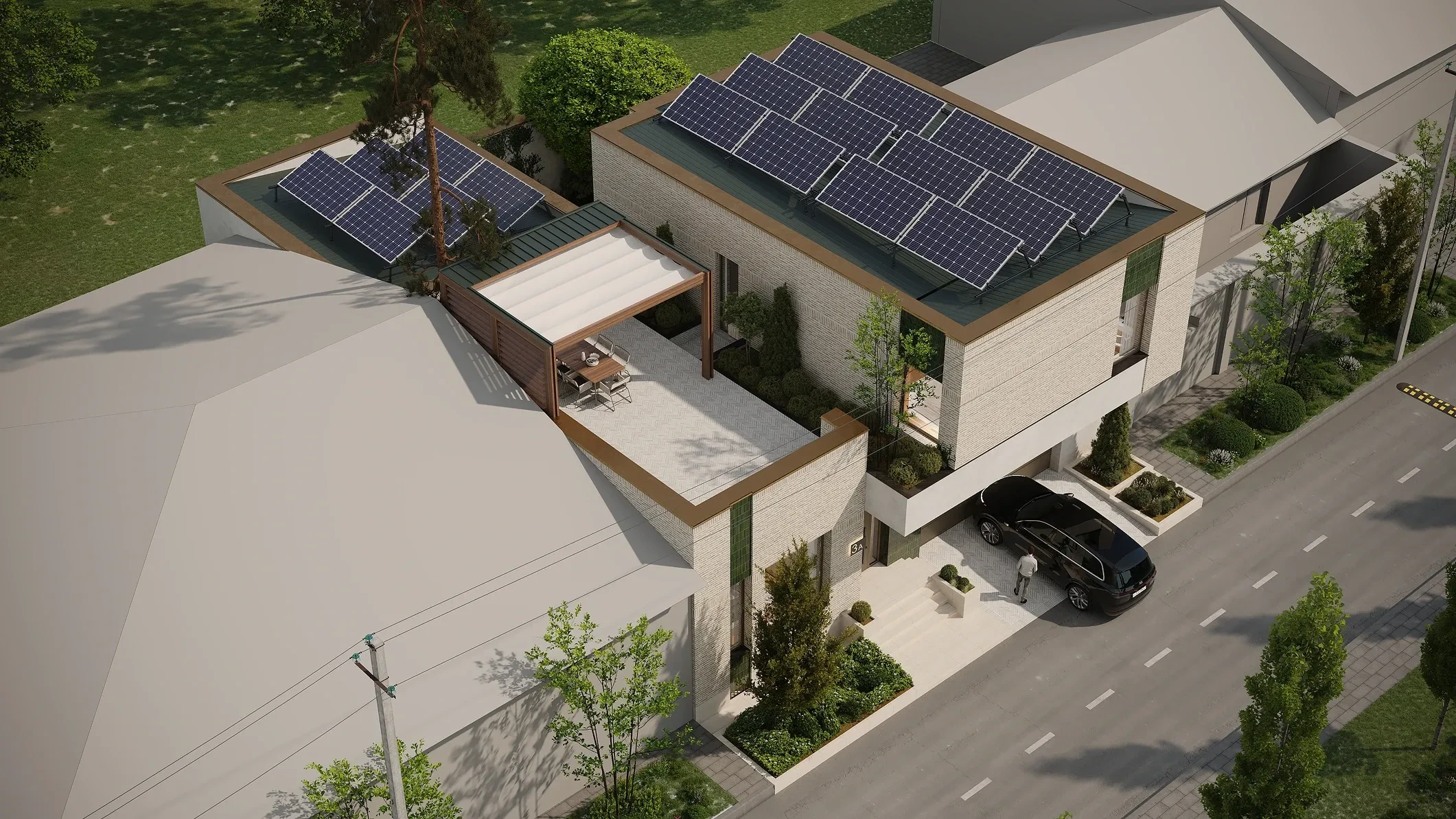 Limonaria — view 7